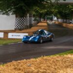 Huayra Pronello-Ford