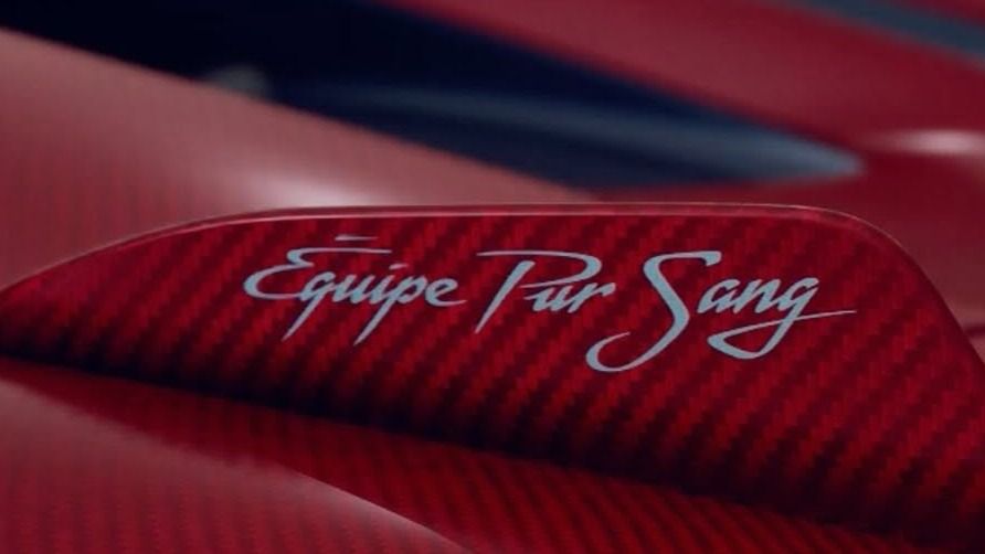 Emblema del paquete exclusivo específico integrado en las aletas laterales del alerón