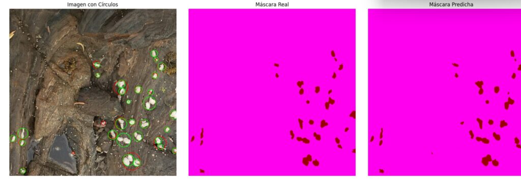 Imagen que muestra círculos y máscaras en un fondo oscuro